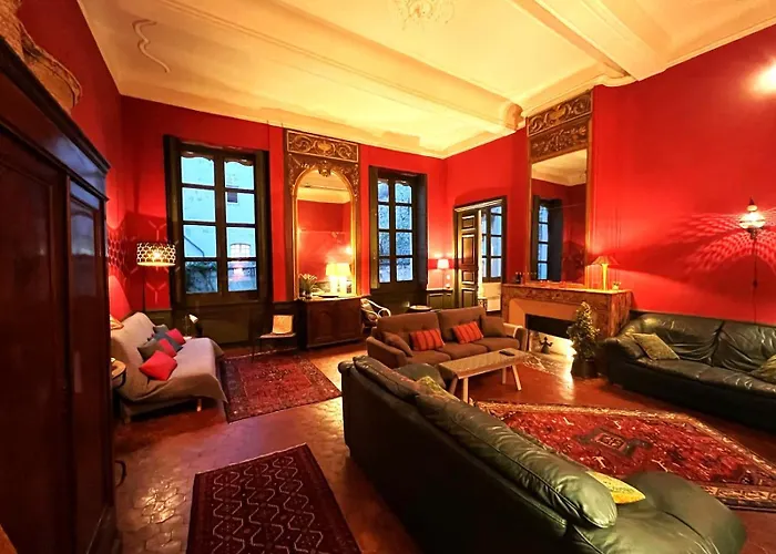 Palais Des Papes - Spacious Historic Apartment In Private Mansion ! Free Parking Nearby ! Spacieux Appartement Historique Dans Hotel Particulier ! Parking A Proximite Offert !