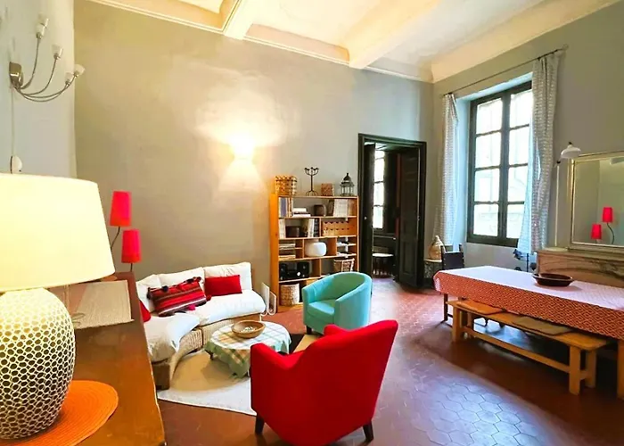 Palais Des Papes - Spacious Historic Apartment In Private Mansion ! Free Parking Nearby ! Spacieux Appartement Historique Dans Hotel Particulier ! Parking A Proximite Offert !