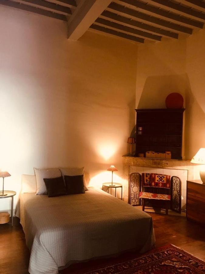 Apartment Palais Des Papes: Historic Mansion With Free Nearby Parking