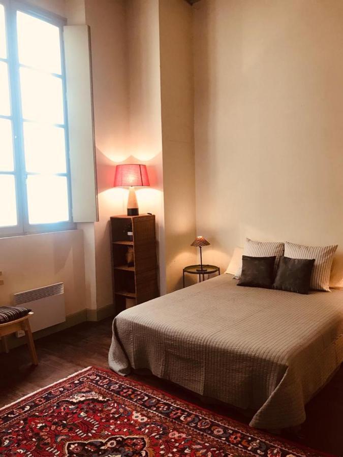 Palais Des Papes: Historic Mansion With Free Nearby Parking Apartment Avignon