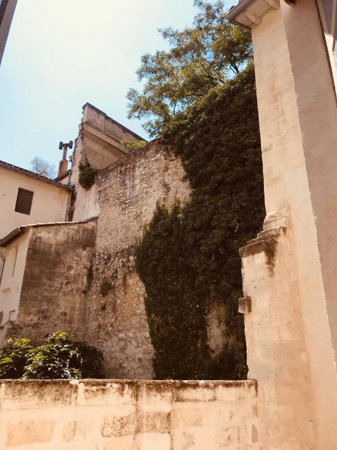 Palais Des Papes: Historic Mansion With Free Nearby Parking Apartment Avignon