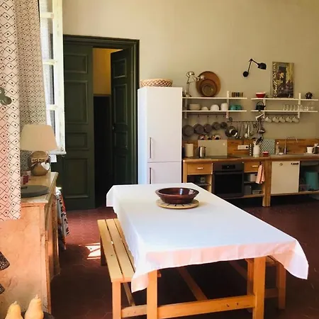 Palais Des Papes: Historic Mansion Apartment with Free Nearby Parking Avignon Exterior photo