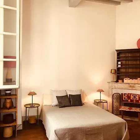 Palais Des Papes: Historic Mansion Apartment with Free Nearby Parking Avignon Exterior photo