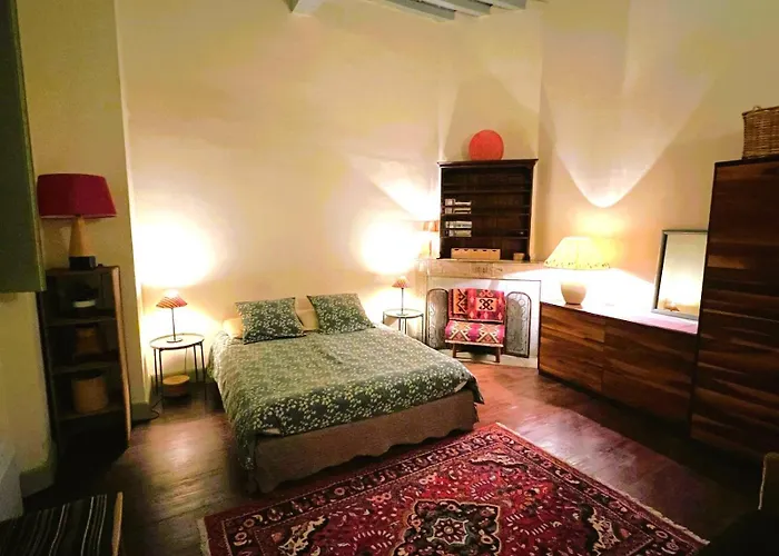 Palais des Papes - Appartement dans Hôtel Particulier